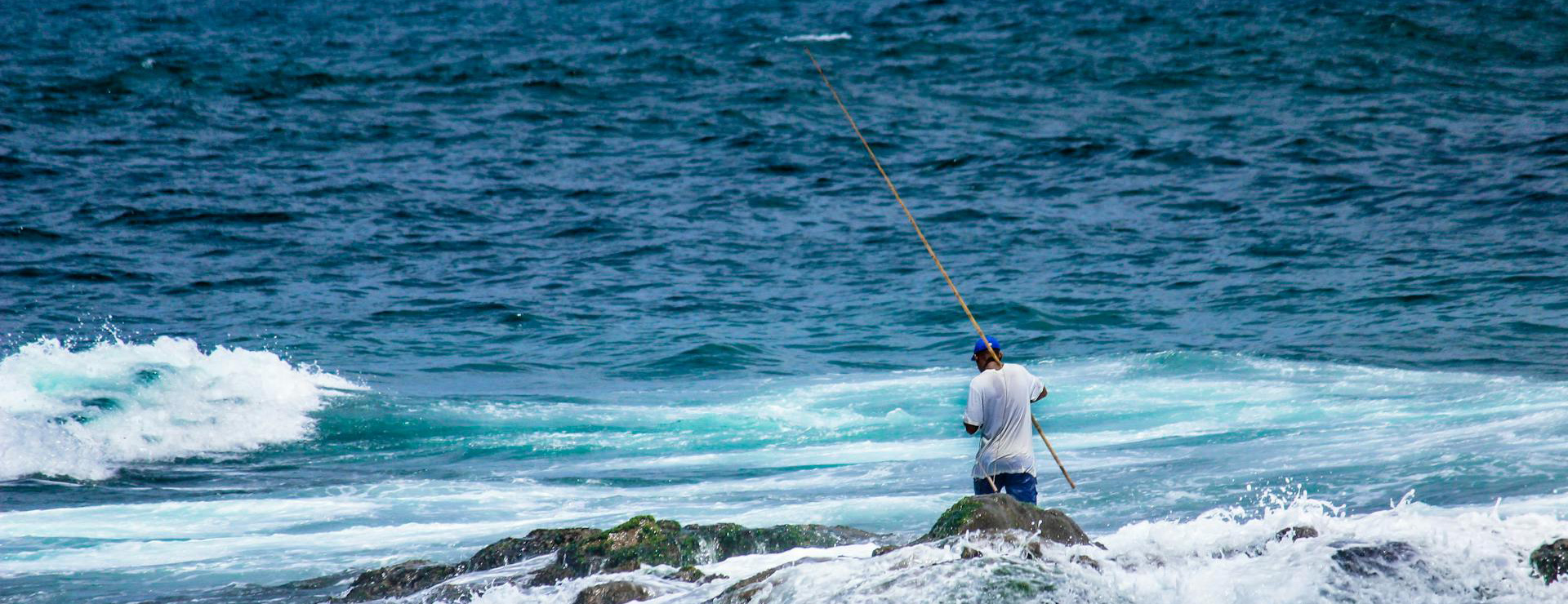 Magasin De Pêche -Magasin De Pêche pexels nappy 1105357