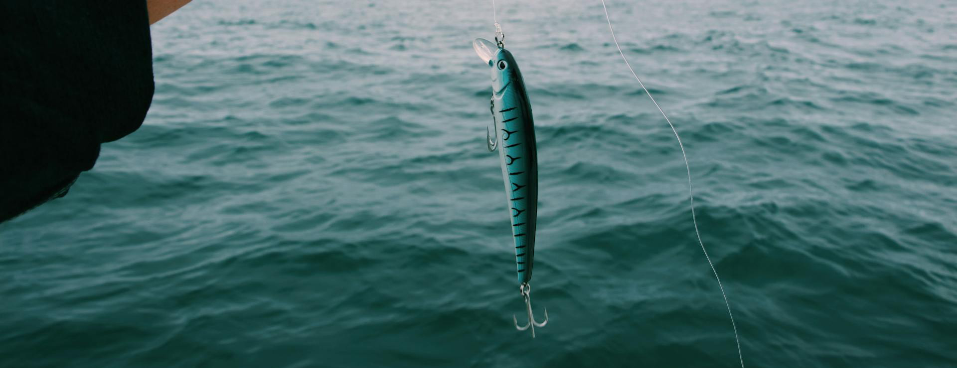 Magasin De Pêche -Magasin De Pêche pexels toulouse 3098597